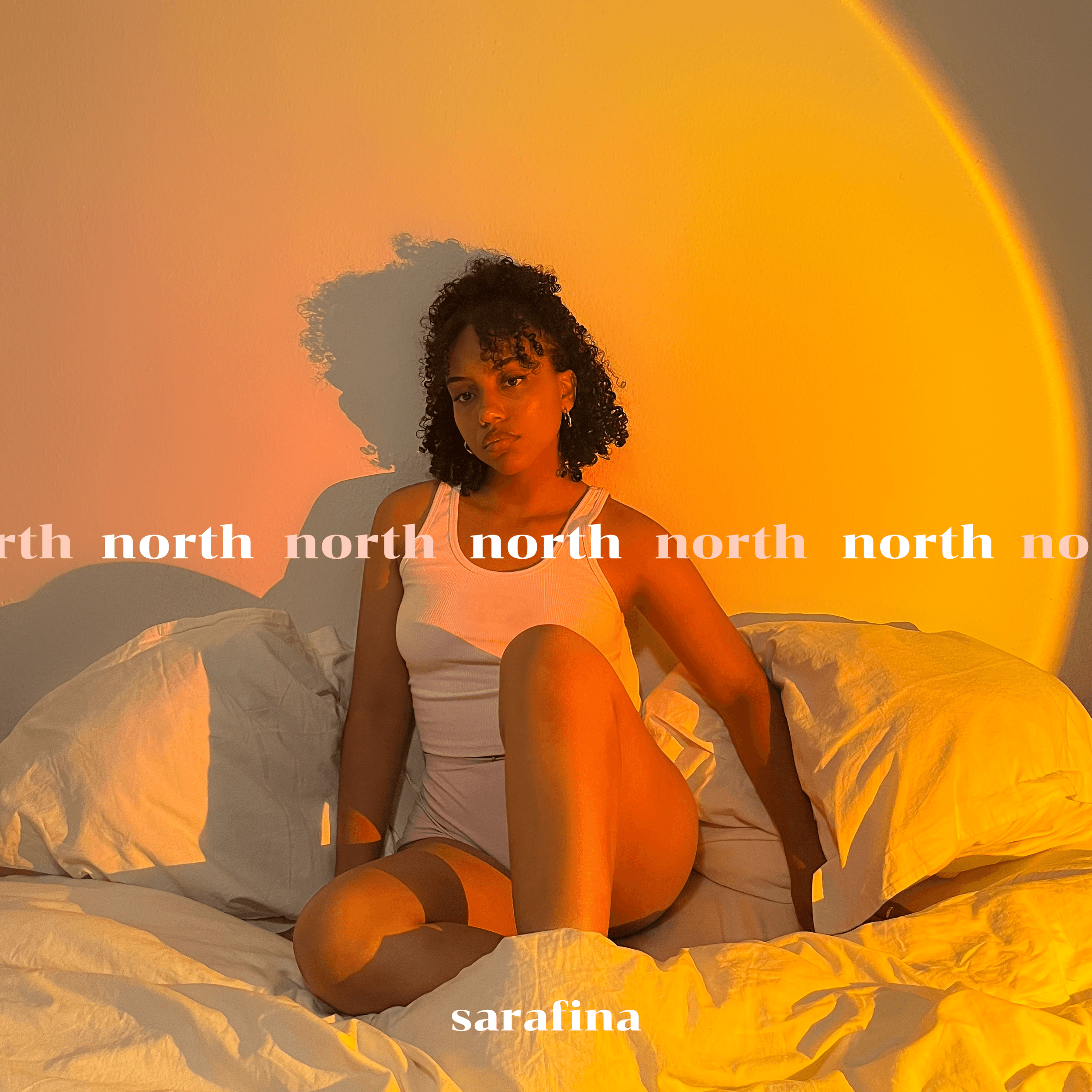 Cover von North